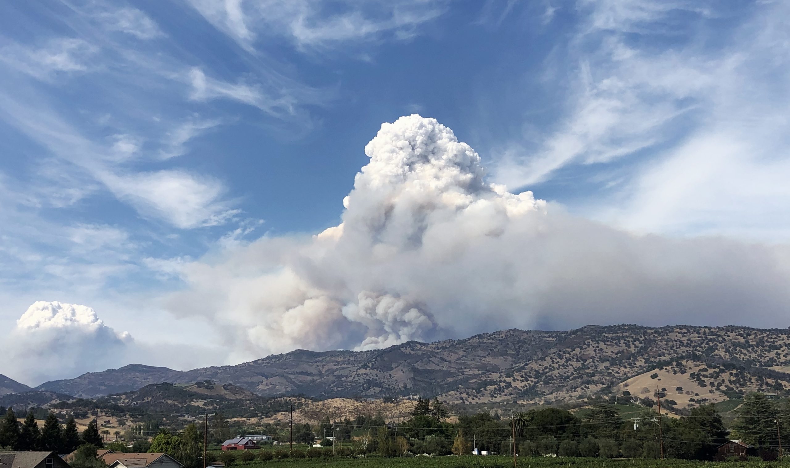 Winemaking, Wildfires, and Why The 2020 Vintage Will Be Limited