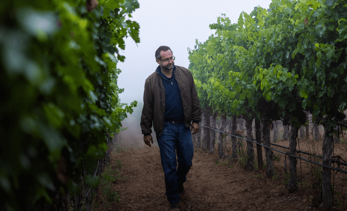 A Day in the Cellar with Winemaker Morgan Maureze