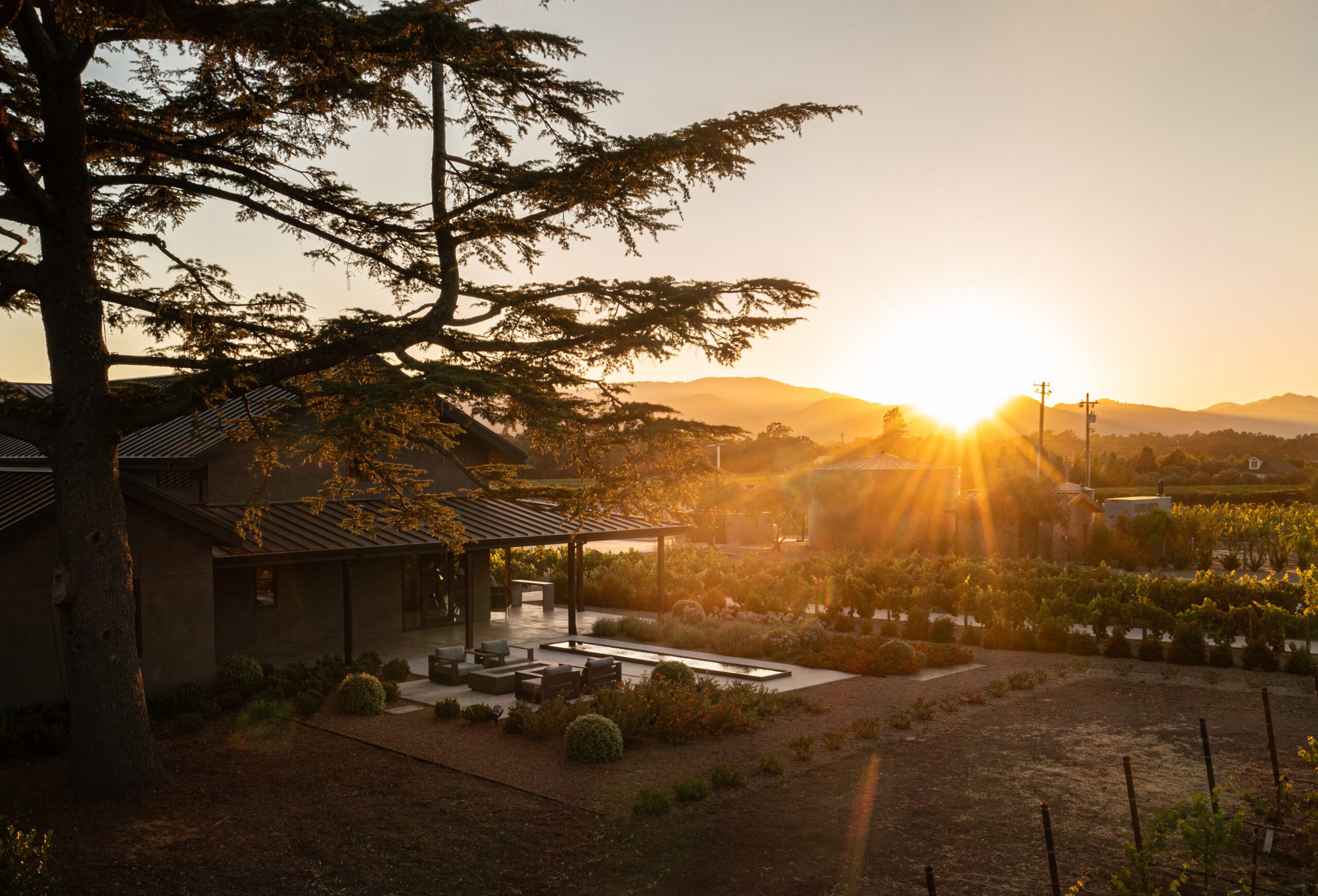 A Year in Review | The 2024 Harvest Wrap-Up
