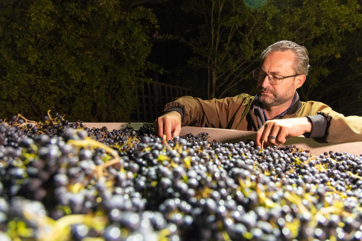The Art, and Science, Behind Every Bottle